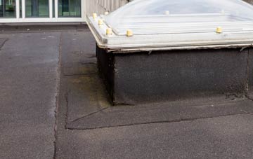 disadvantages of Newtown Saville flat roofs
