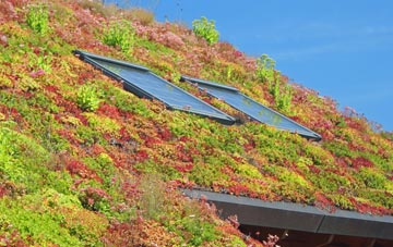 Newtown Saville living roof systems
