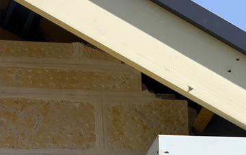 soffit repair Newtown Saville