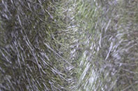 Newtown Saville fibreglass roof work